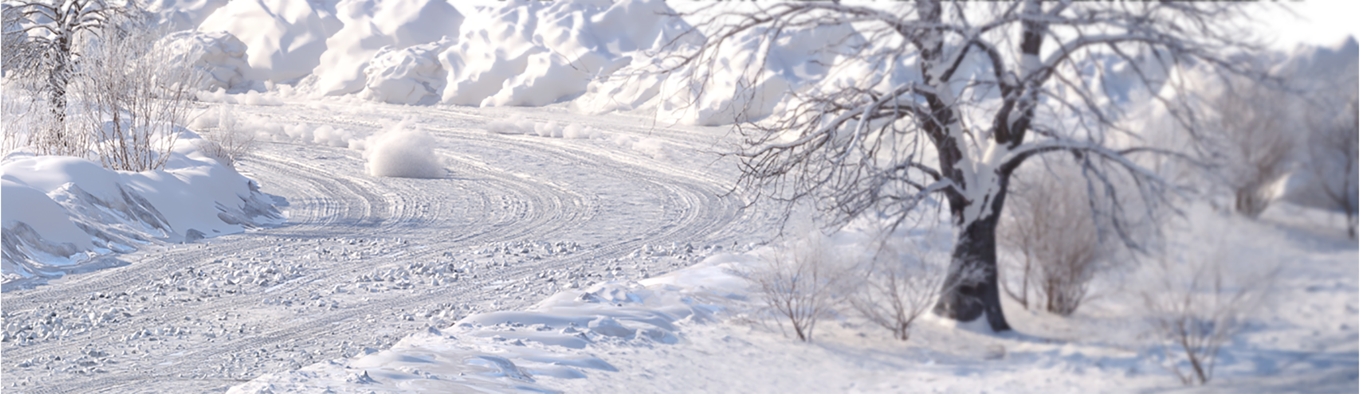 images/art_nrounds_rally_bgk_2_2772x804.png