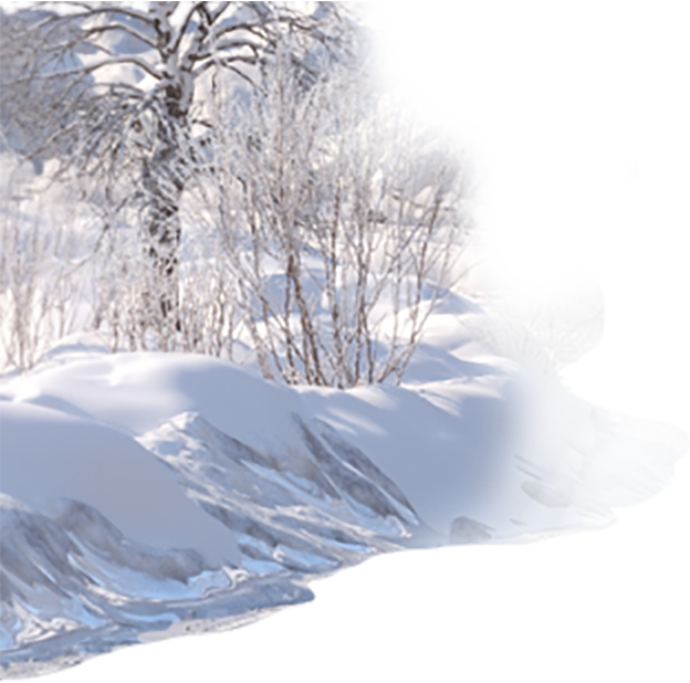 images/art_nrounds_rally_bgk_5_624x618.png
