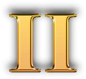 item_II_300x276.png