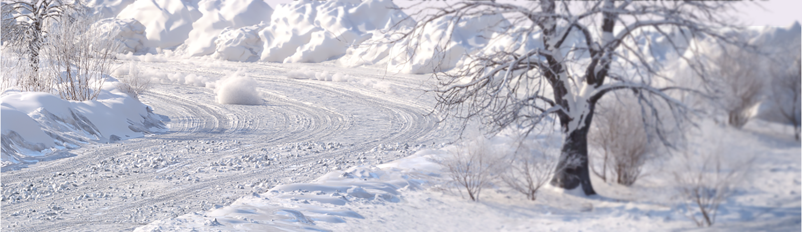 images_2/art_nrounds_rally_bgk_2_2772x804.png